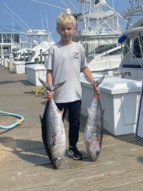 Blue Fin Tuna in the Baltimore