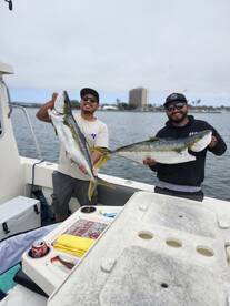Great action lately at the coronado isla