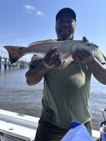 Charleston Report Photo 2