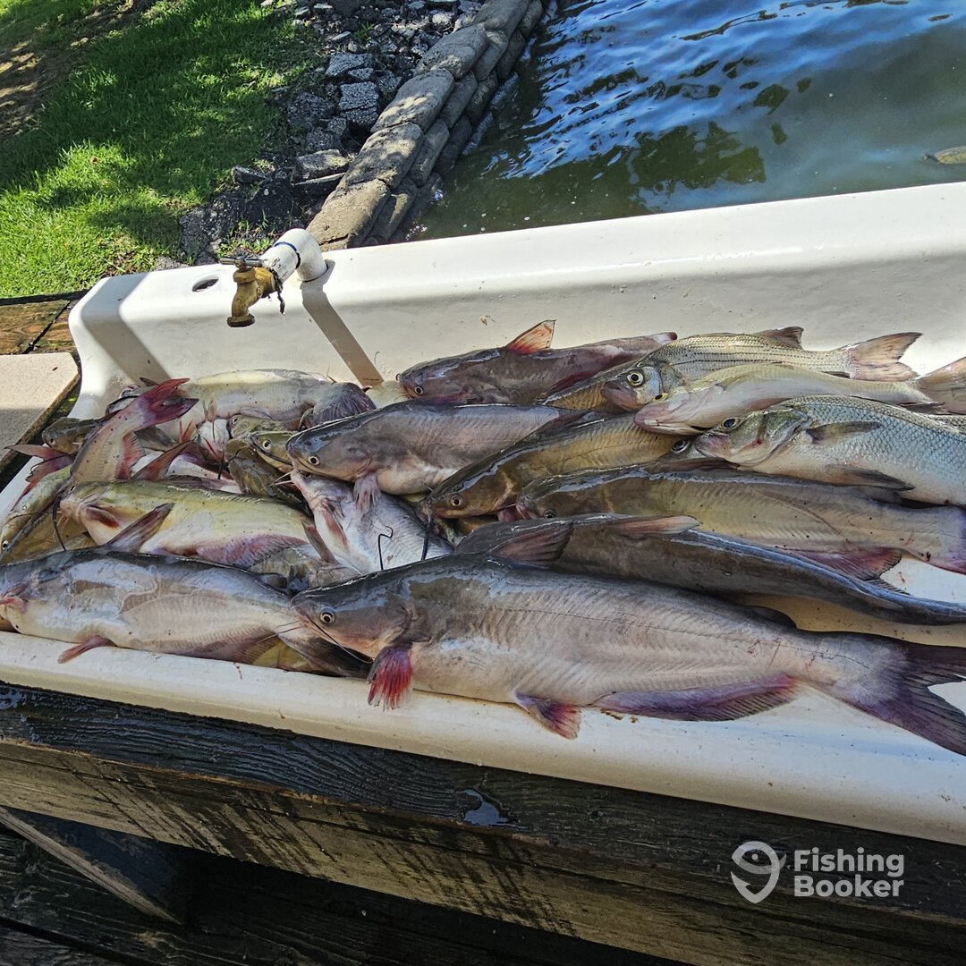 West Tawakoni Report Photo 0