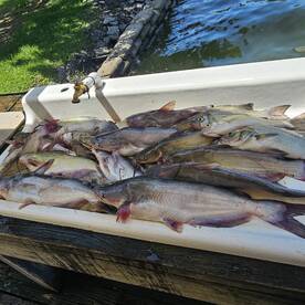 West Tawakoni Report Photo 2