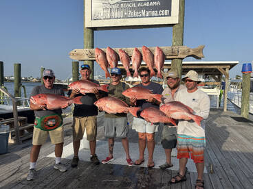Orange Beach Report Photo 1