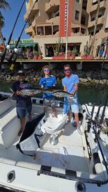 Cabo San Lucas Report Photo 2