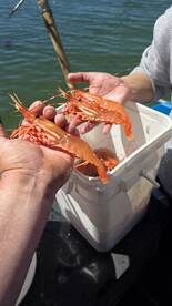 West Vancouver Report Photo 1