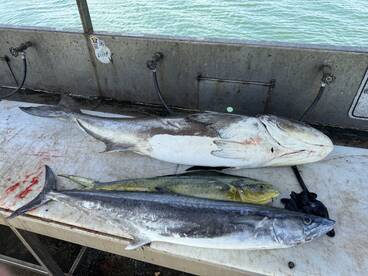 Port Canaveral Report Photo 1