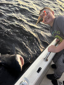 Punta Gorda Report Photo 1