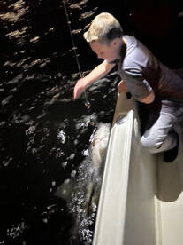 Punta Gorda Report Photo 2