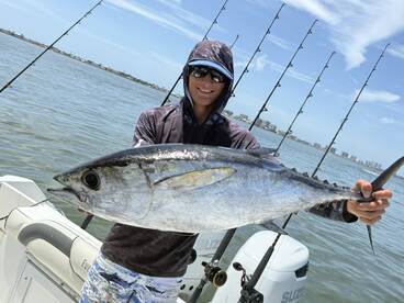 Tuna, Red Snapper, Red Grouper over the 