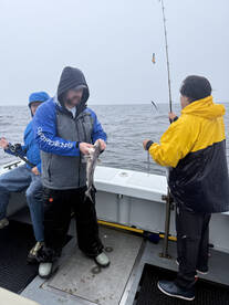 Beverly Report Photo 1