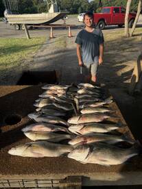 Kingston Report Photo 3