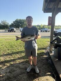 Kingston Report Photo 2