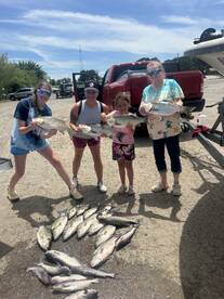 Kingston Report Photo 1