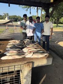 Kingston Report Photo 4