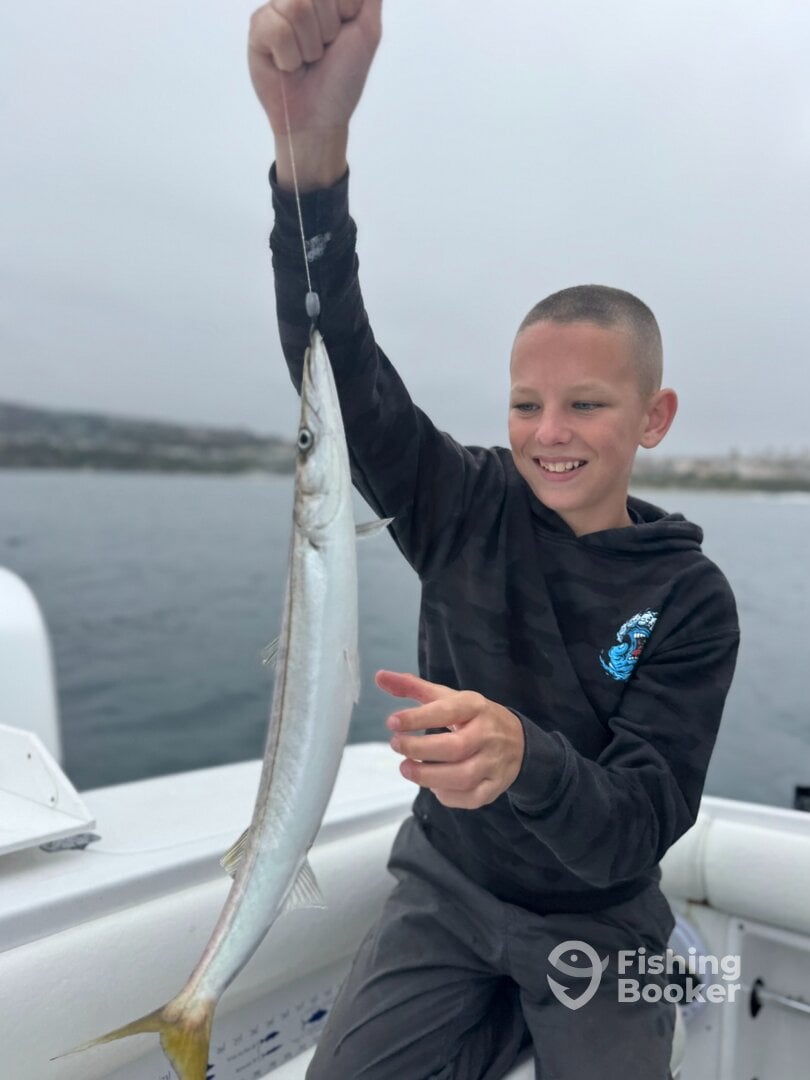 Dana Point Report Photo 0