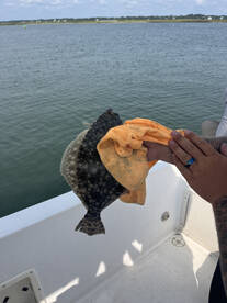 Murrells Inlet Report Photo 2