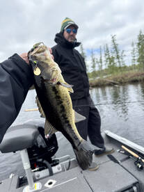 Rhinelander Report Photo 2