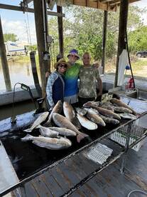 Mississippi River Report Photo 2