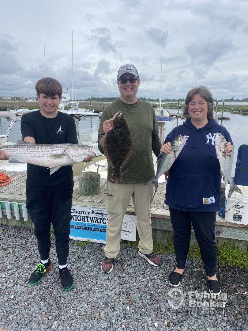 Barnegat Light Report Photo 0