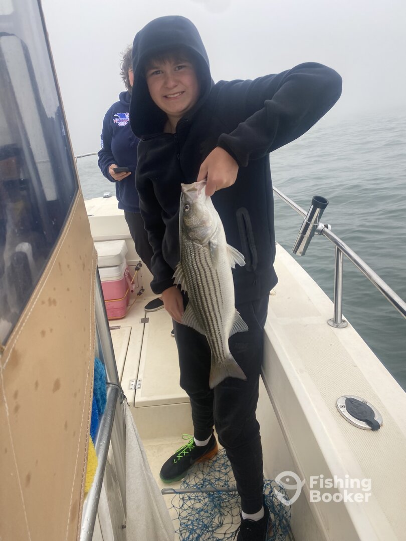 Barnegat Light Report Photo 0