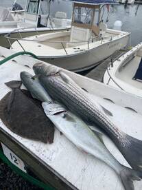 Barnegat Light Report Photo 2
