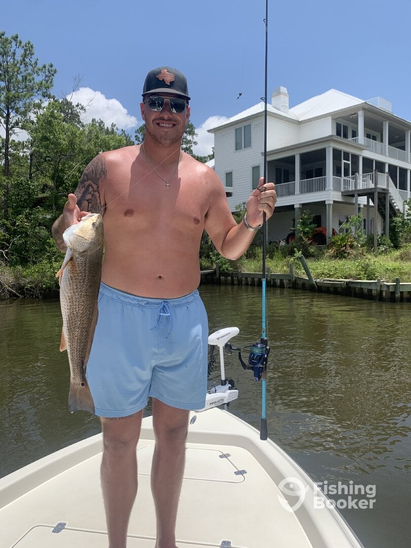 Gulf Shores Report Photo 0