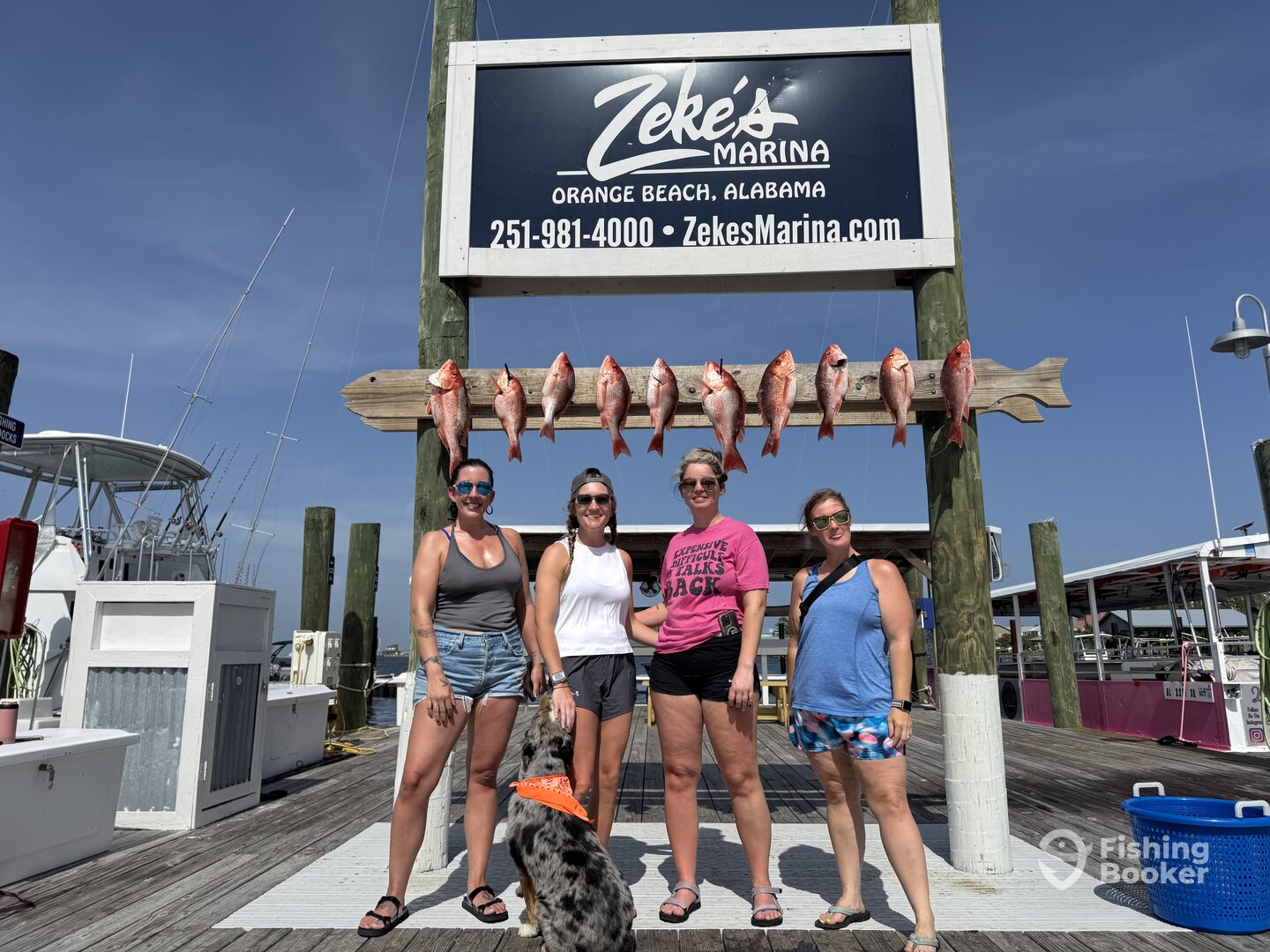 Orange Beach Report Photo 0