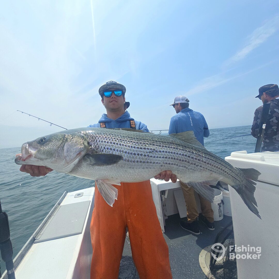 Narragansett Report Photo 0