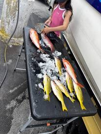 Nice mix bag good eaters !! 