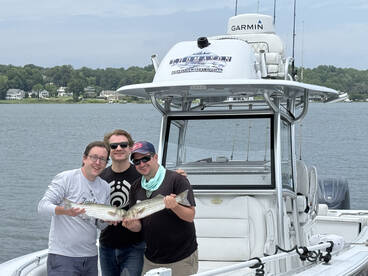 Striped bass bite is on fire