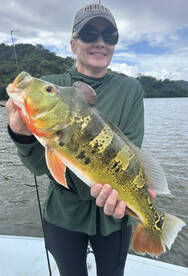 Peacock bass tour