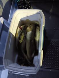 2 man limit on the night trip.