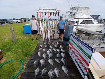 May 29 All Day Wreck/Bottom Fishing/Trol