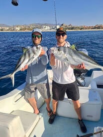 Roosterfish Bite is Strong in San José d