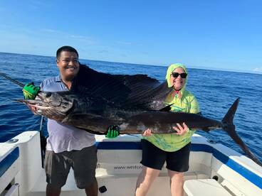 Sail fish…