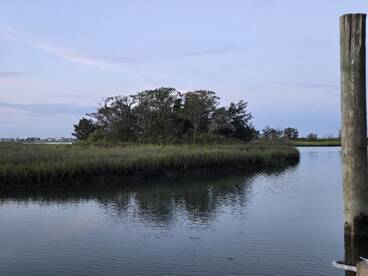 Murrells Inlet Report Photo 1