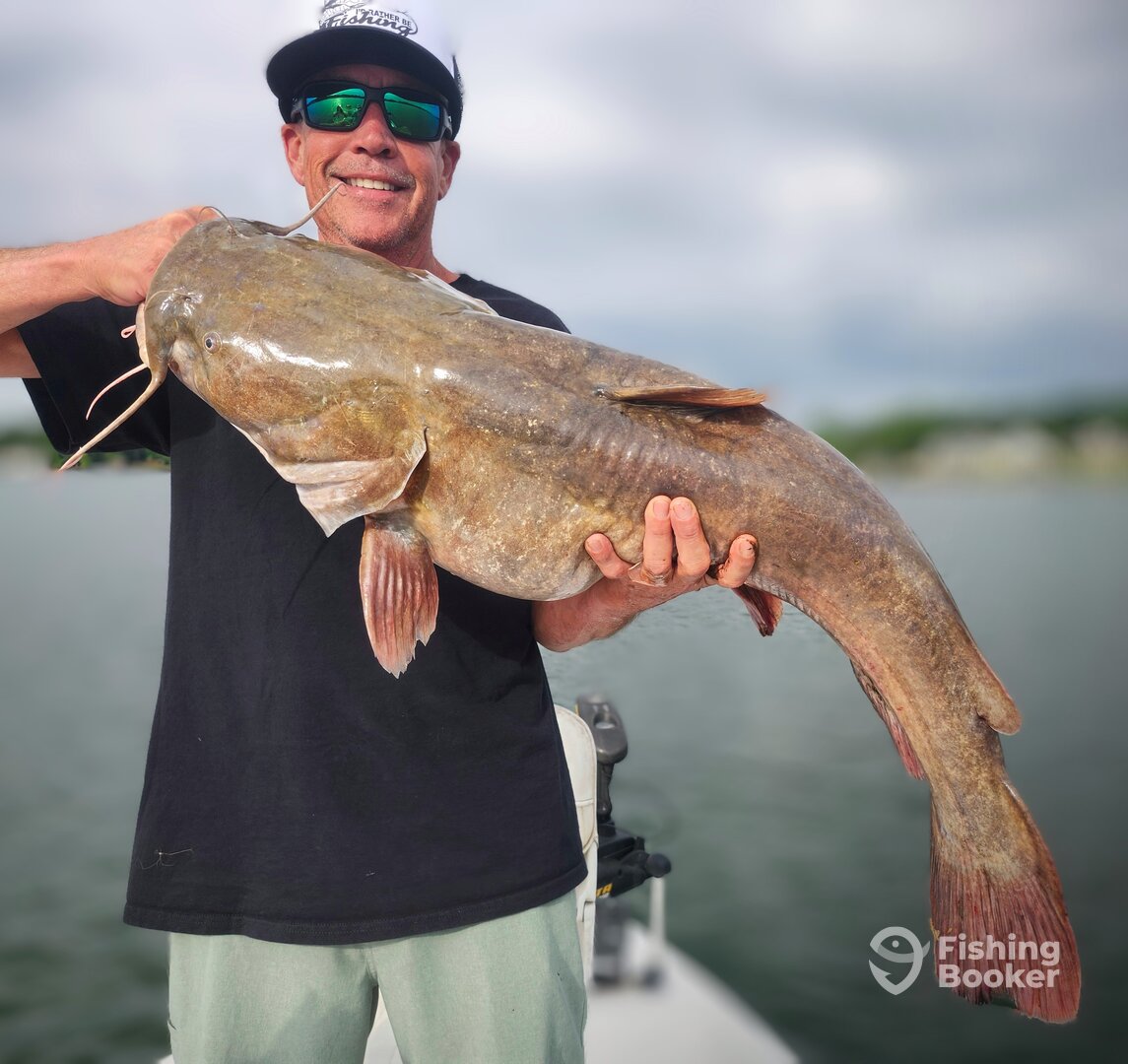 Nice Jumbo Flathead