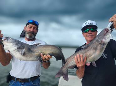 2X Blue Catfish