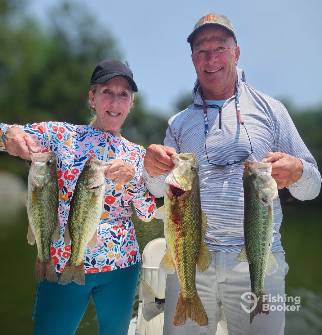 Nice limit of Bass