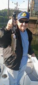 Branson Report Photo 1