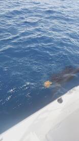 Fort Pierce Report Photo 1