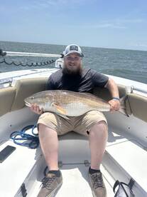 43 inc Red Drum