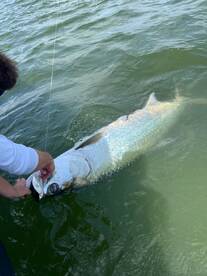 Summer time fishing in full swing