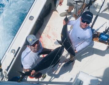 Sandys Report Photo 1