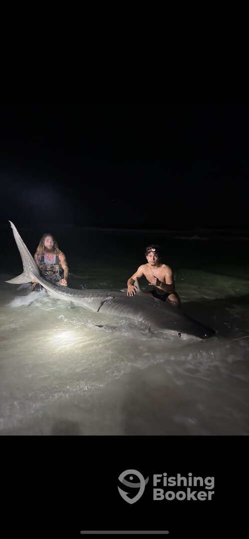 Destin Report Photo 0