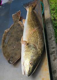 Jacksonville Report Photo 2