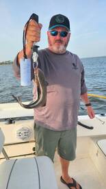 Hot bite on a 4hr trip