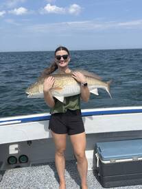 Great fishing spanish mackerl    Cobia a