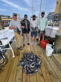 Great day sea bassing 