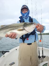 Gainesville Report Photo 1