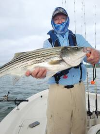 Gainesville Report Photo 2